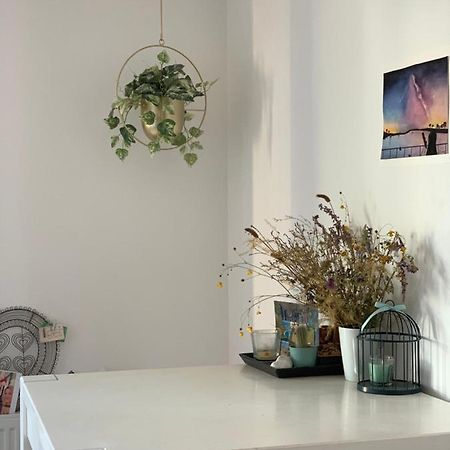 Super Logement Cosy, A Deux Pas Du Tram 南特 外观 照片